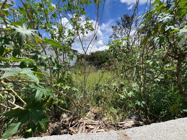 Terreno com 719m², à venda, no bairro Jardim Nina (Fazendinha) em Santana de Parnaíba
