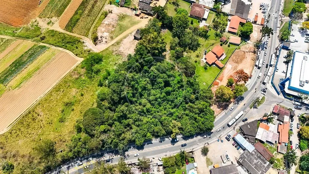 Terreno, 6600 m² - Foto 5