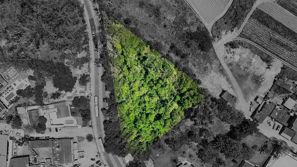 Terreno, 6600 m² - Foto 2
