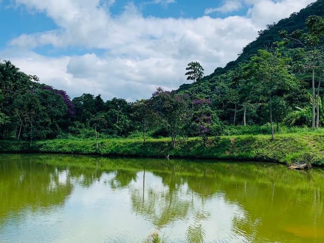 Terreno com 8000m², à venda, no bairro Serra do Capim em São José do Vale do Rio Preto