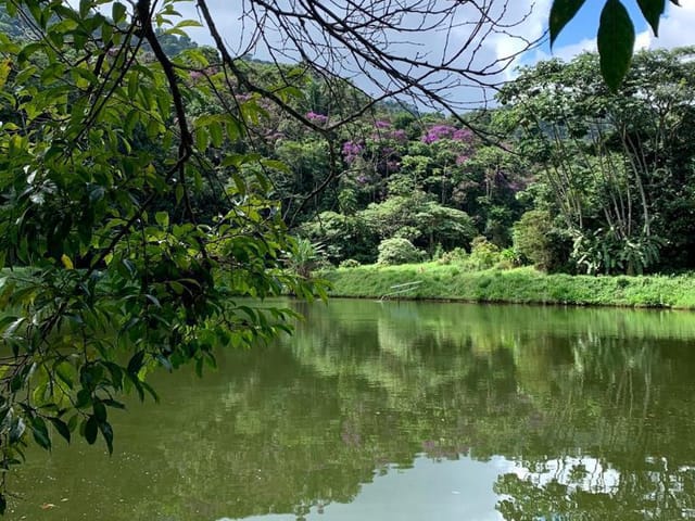 Terreno com 8000m², à venda, no bairro Serra do Capim em São José do Vale do Rio Preto