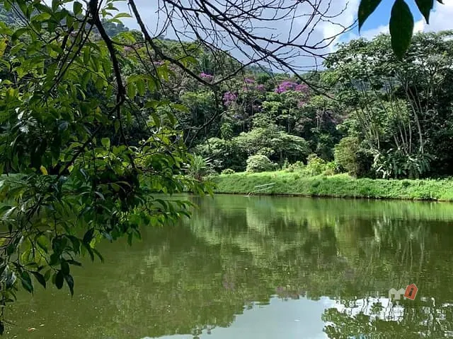 Terreno com 8000m², à venda, no bairro Serra do Capim em São José do Vale do Rio Preto