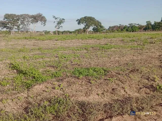 Terreno com 300m², à venda, no bairro Travessão em Travessão
