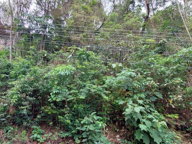 Terreno com 348m², à venda, no bairro Retiro em Petrópolis