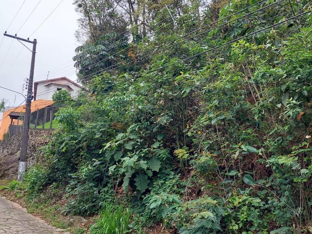 Terreno com 348m², à venda, no bairro Retiro em Petrópolis