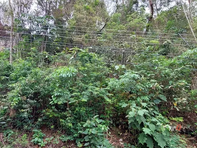 Terreno com 348m², à venda, no bairro Retiro em Petrópolis