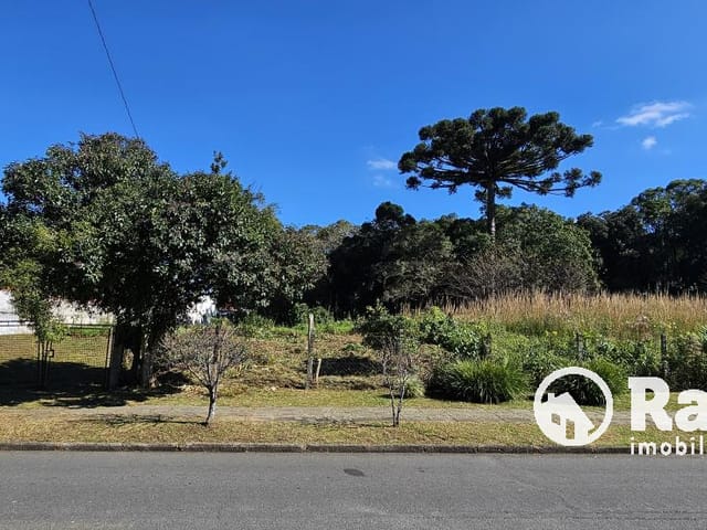 Terreno com 2625m², à venda, no bairro São Braz em Curitiba