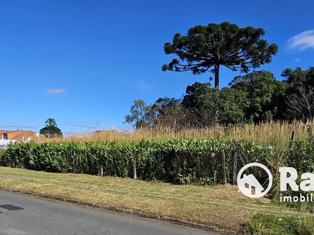 Terreno com 2625m², à venda, no bairro São Braz em Curitiba
