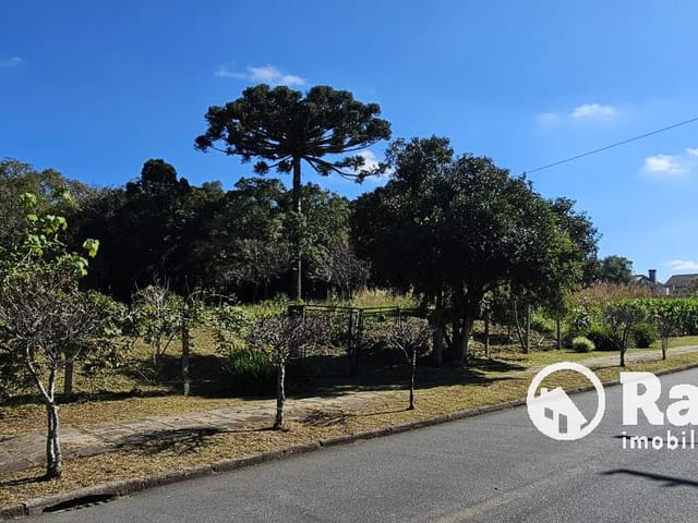 Terreno com 2625m², à venda, no bairro São Braz em Curitiba