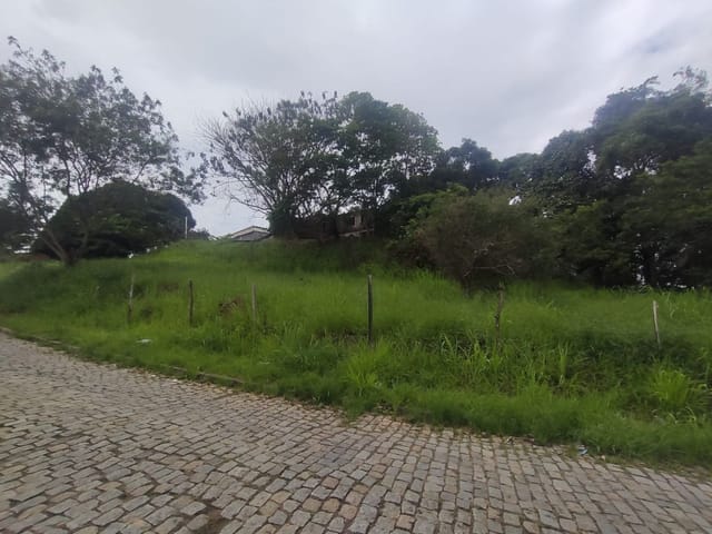 Terreno com 5250m², à venda, no bairro Granja dos Cavaleiros em Macaé