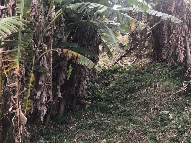 Terreno com 590m², à venda, no bairro Quitandinha em Petrópolis