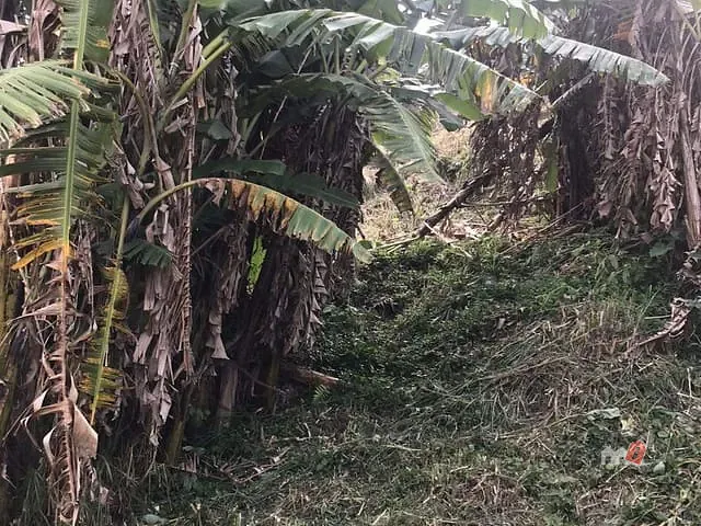 Terreno com 590m², à venda, no bairro Quitandinha em Petrópolis
