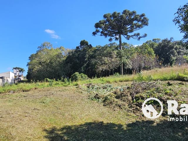 Terreno com 7876m², à venda, no bairro São Braz em Curitiba