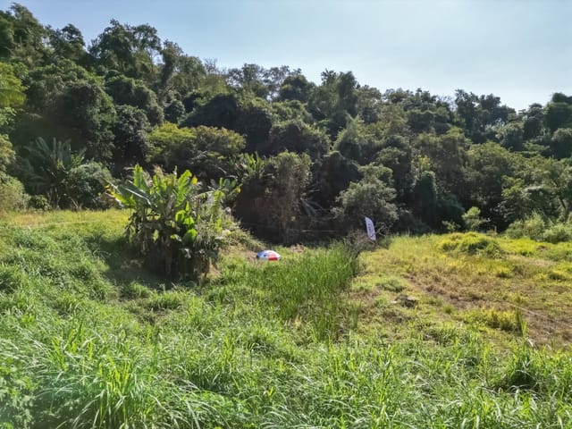 Foto do Terreno - Terreno residencial para venda em Jardim Paulista, 615m² | Lares e Andares Imóveis