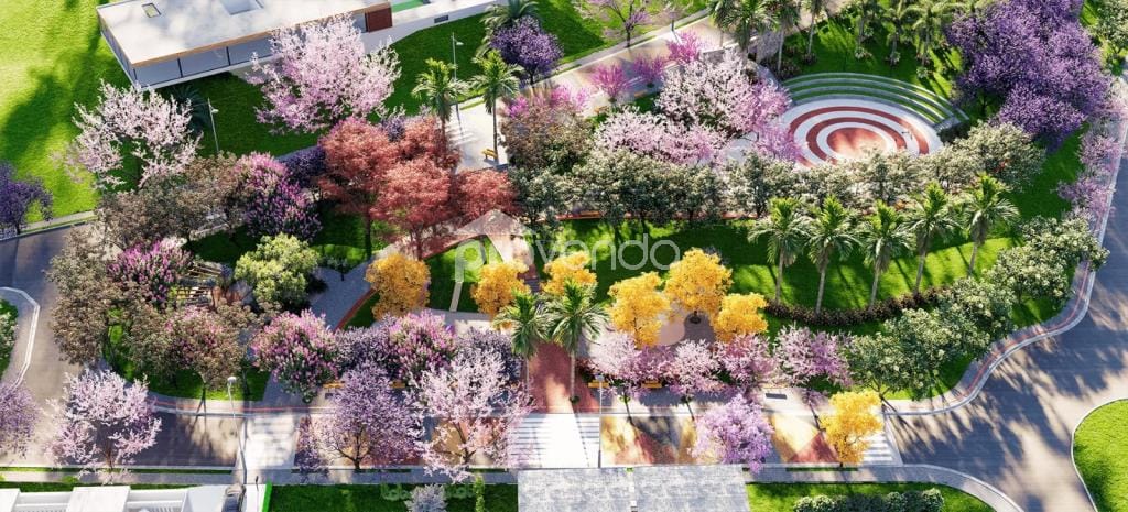 Terreno, 250 m² - Foto 4