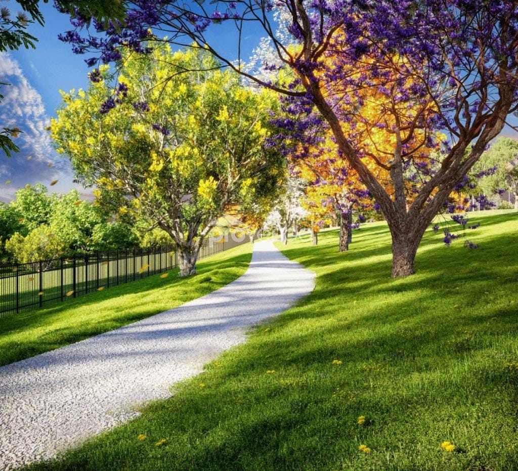 Terreno, 250 m² - Foto 5