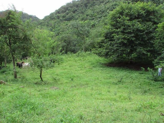 Foto do Terreno - Terreno à venda, Mato Dentro, Itajubá. | MOHALLEM e LOPES CORRETAGEM E ADMINISTRACAO DE IMOVEIS LTDA
