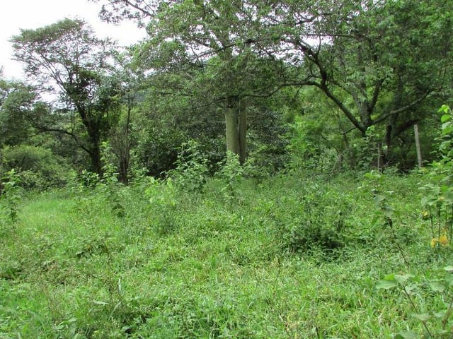 Foto do Terreno - Terreno à venda, Mato Dentro, Itajubá. | MOHALLEM e LOPES CORRETAGEM E ADMINISTRACAO DE IMOVEIS LTDA