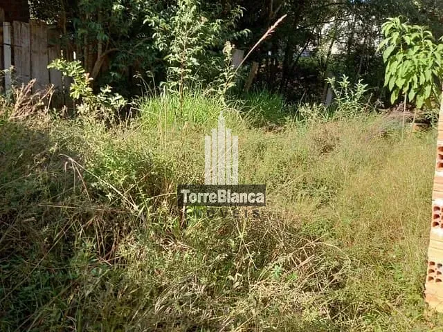 Terreno com 616m², à venda, no bairro Uvaranas em Ponta Grossa
