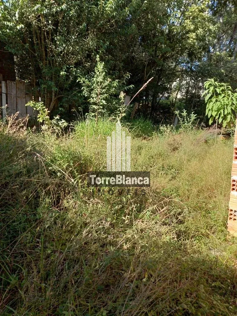 Terreno, 616 m² - Foto 5