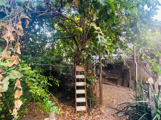 Terreno com 360m², à venda, no bairro Alphaville em Campos dos Goytacazes