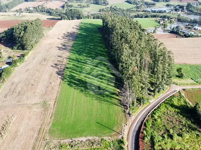 Terreno com 20000m², à venda, no bairro Zona Rural em Fazenda Vilanova