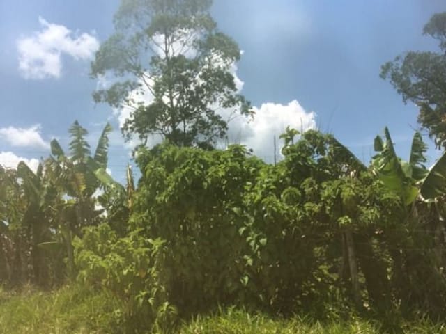 Terreno com 22000m², à venda, no bairro Santana em Cotia