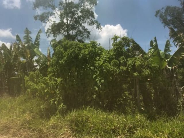 Terreno com 22000m², à venda, no bairro Santana em Cotia