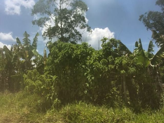 Terreno com 22000m², à venda, no bairro Santana em Cotia
