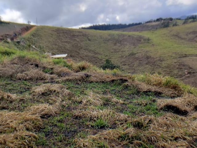 Terreno com 21750m², à venda, no bairro Eseada Parque Ecológico em Juiz de Fora
