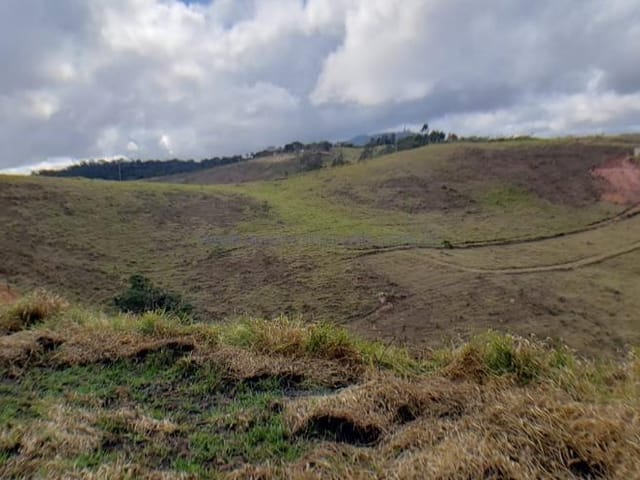 Terreno com 21750m², à venda, no bairro Eseada Parque Ecológico em Juiz de Fora