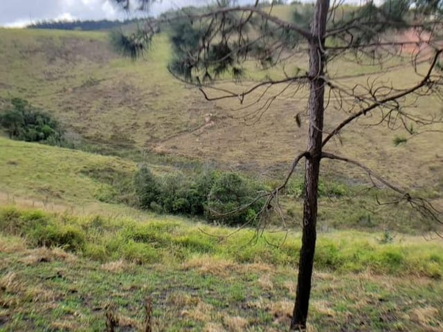 Terreno com 21750m², à venda, no bairro Eseada Parque Ecológico em Juiz de Fora