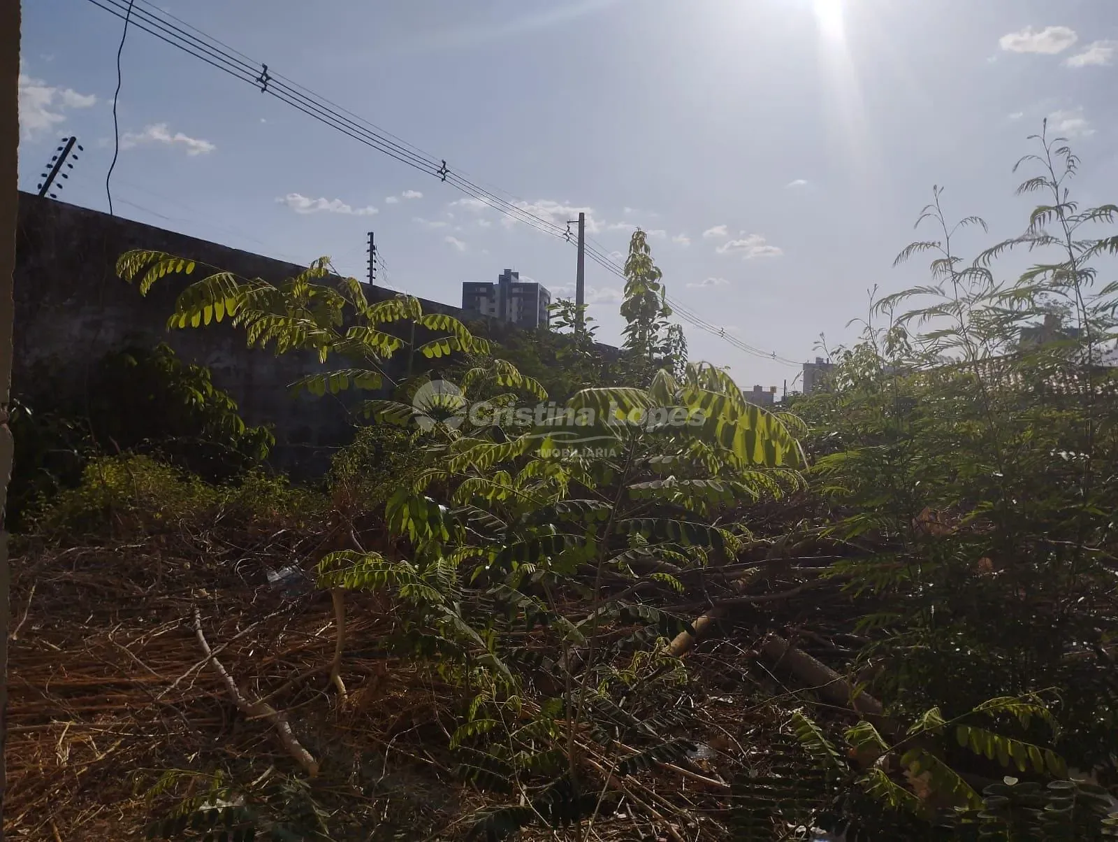 Terreno, 360 m² - Foto 3
