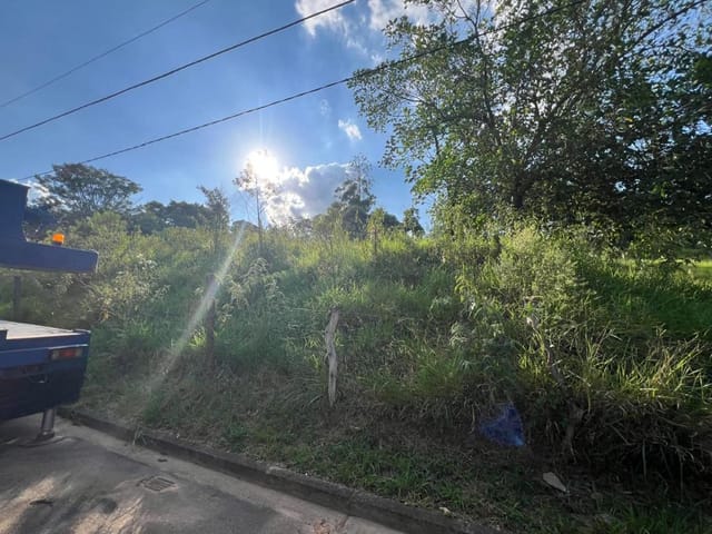 Terreno com 5000m², à venda, no bairro Chácara Maria Trindade em São Paulo