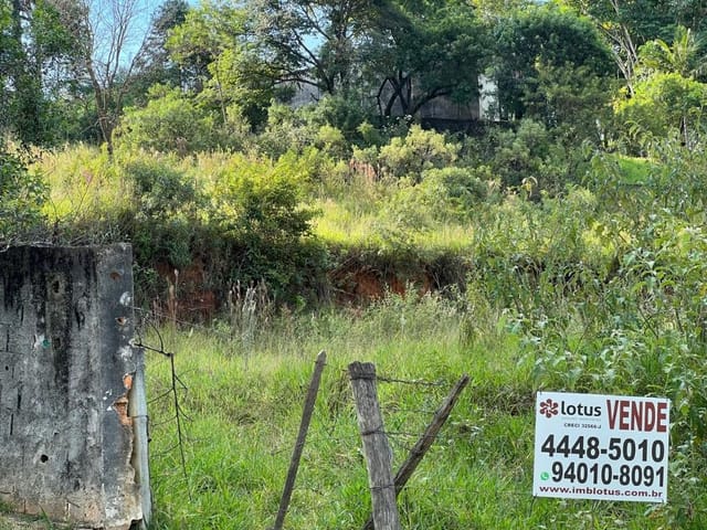 Terreno com 5000m², à venda, no bairro Chácara Maria Trindade em São Paulo