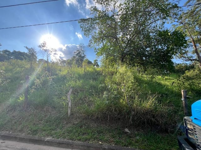 Terreno com 5000m², à venda, no bairro Chácara Maria Trindade em São Paulo
