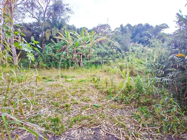 Terreno com 1800m², para alugar, no bairro Jardim Santa Francisca Cabrini em São Paulo