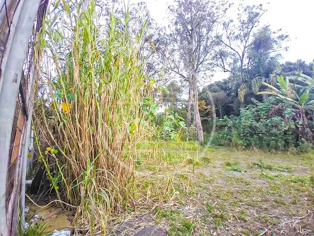 Terreno com 1800m², para alugar, no bairro Jardim Santa Francisca Cabrini em São Paulo