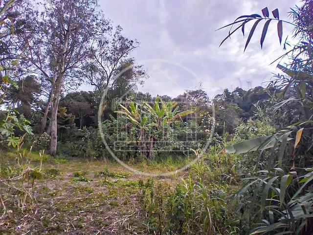 Terreno com 1800m², para alugar, no bairro Jardim Santa Francisca Cabrini em São Paulo