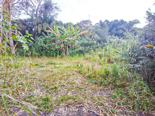 Terreno com 1800m², para alugar, no bairro Jardim Santa Francisca Cabrini em São Paulo