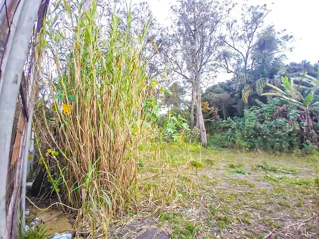 Terreno com 1800m², para alugar, no bairro Jardim Santa Francisca Cabrini em São Paulo