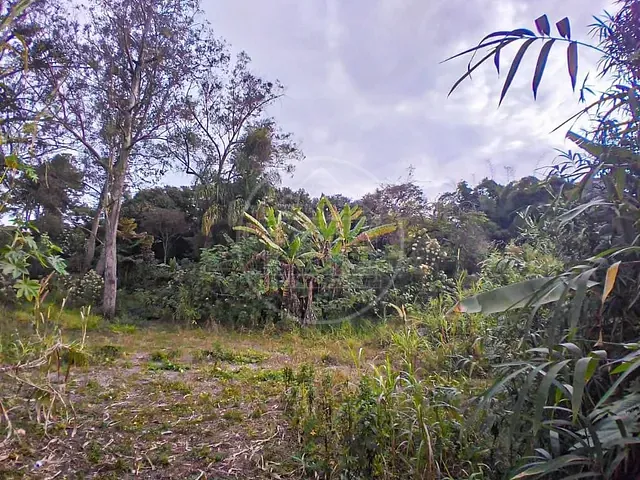 Terreno com 1800m², para alugar, no bairro Jardim Santa Francisca Cabrini em São Paulo