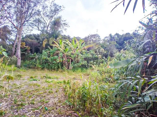 Terreno com 1800m², para alugar, no bairro Jardim Santa Francisca Cabrini em São Paulo