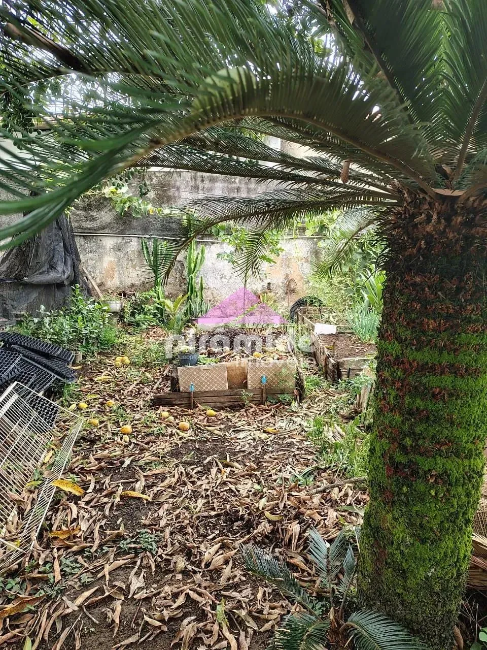 Terreno, 250 m² - Foto 4