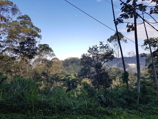 Terreno com 1568m², à venda, no bairro Quarteirão Ingelheim em Petrópolis