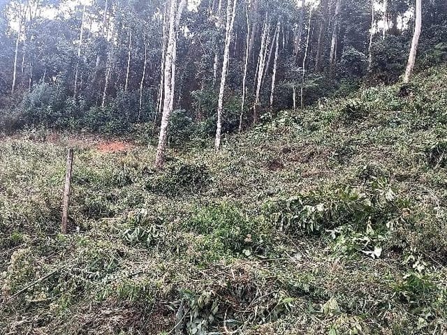 Terreno com 1568m², à venda, no bairro Quarteirão Ingelheim em Petrópolis
