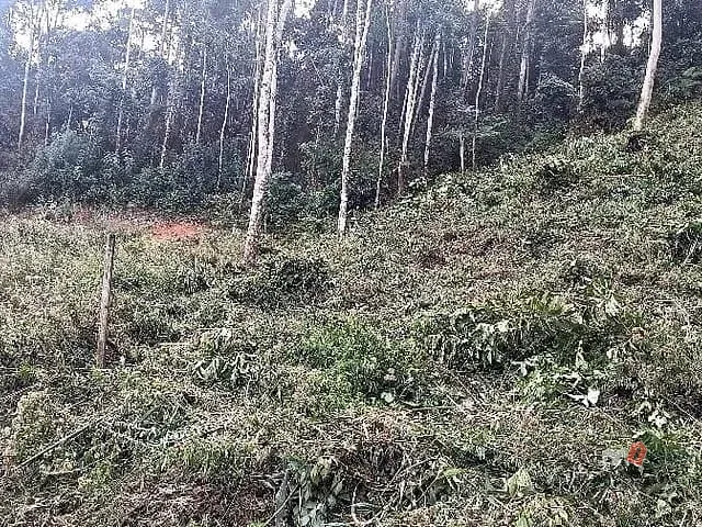 Terreno com 1568m², à venda, no bairro Quarteirão Ingelheim em Petrópolis
