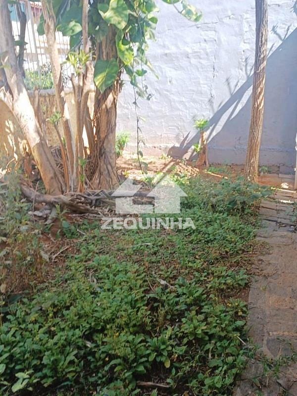 Terreno, 250 m² - Foto 4