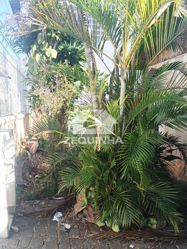 Terreno, 250 m² - Foto 5