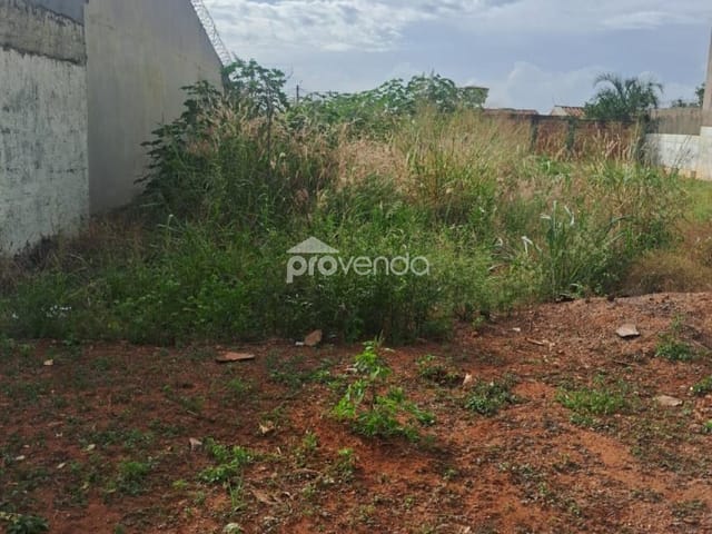 Foto do Terreno - LOTE 200m² - RUA TOCANTINS - JARDIM NOVO PETRÓPOLIS | Provenda Imobiliária